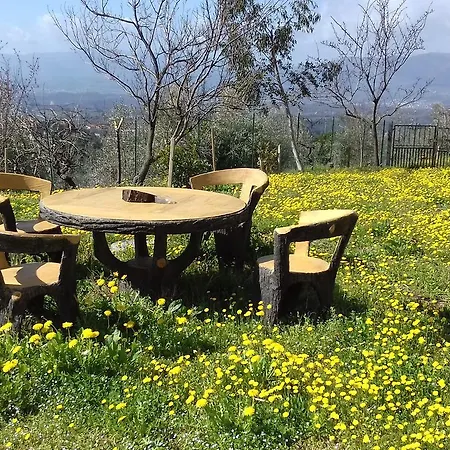 La Pietra Piana Reggello